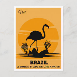 Vintager Besuch Brasilien Flamingo Reisen Postkarte
