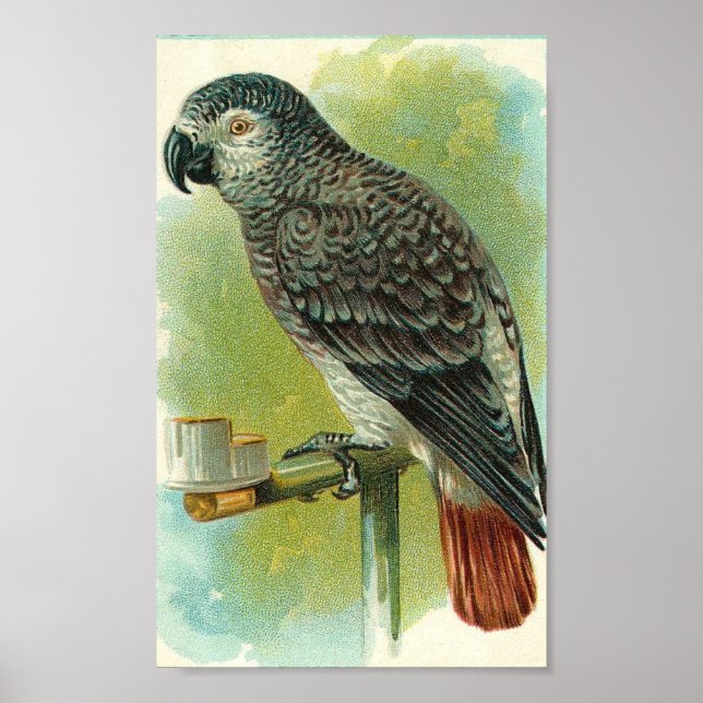 Vintager Bird Poster (Vorne)