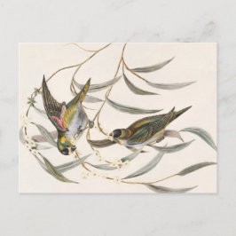 Vintager Bird Postkarte