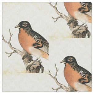 Vintager Bird Stoff