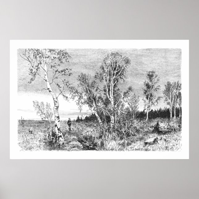 Vintager Birkenbaum 1800er Jahre alt Poster (Vorne)