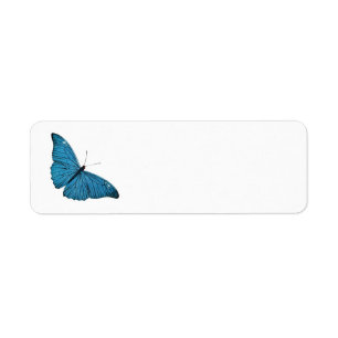 Vintager blauer Morpho Schmetterling