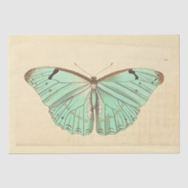 Vintager Blauer Schmetterling Ephemera Decoupage A Seidenpapier