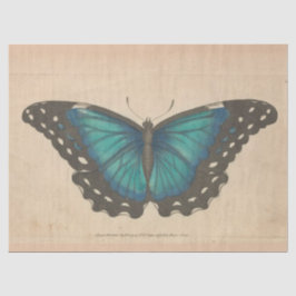 Vintager Blauer Schmetterling Ephemera Decoupage A Seidenpapier