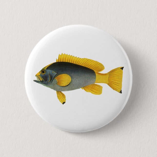 Vintager Blauer und Gelber Grouper Fisch, Meeresle Button (Vorderseite)