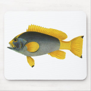Vintager Blauer und Gelber Grouper Fisch, Meeresle Mousepad