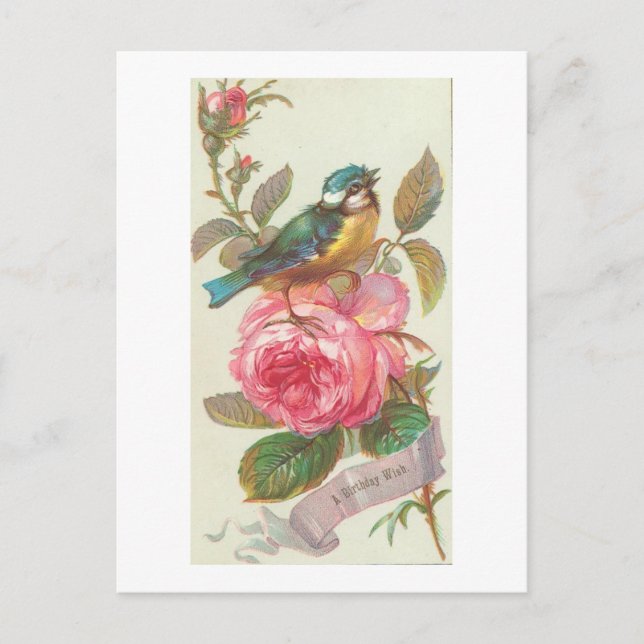 Vintager Blauer Vogel und rosa Blume Geburtstag Postkarte (Vorderseite)
