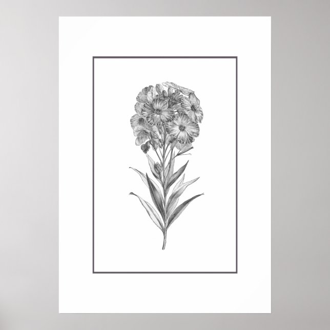 Vintager Blume-Ätzdruck Poster (Vorne)