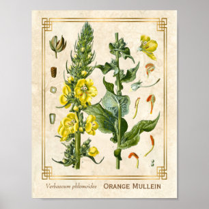 Vintager Blumenkraut Poster