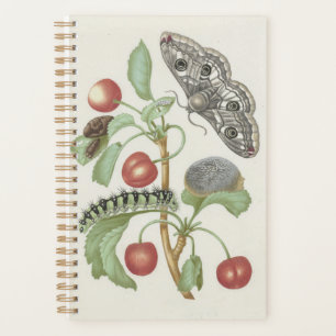 Vintager Blumenplaner mit Moth und Raupe Planer