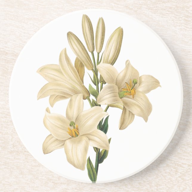 Vintager Blumensandstein-Untersetzer 1 Sandstein Untersetzer (Vorne)