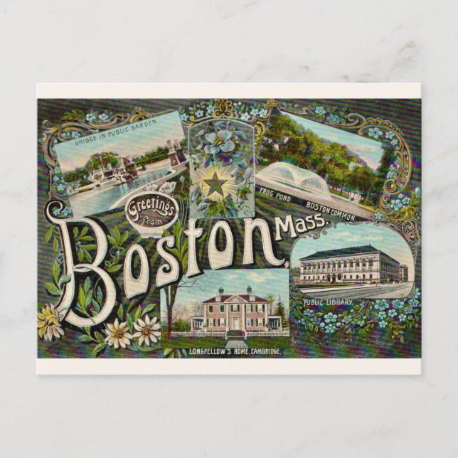 Vintager Boston Frosch Pond Postkarte (Vorderseite)