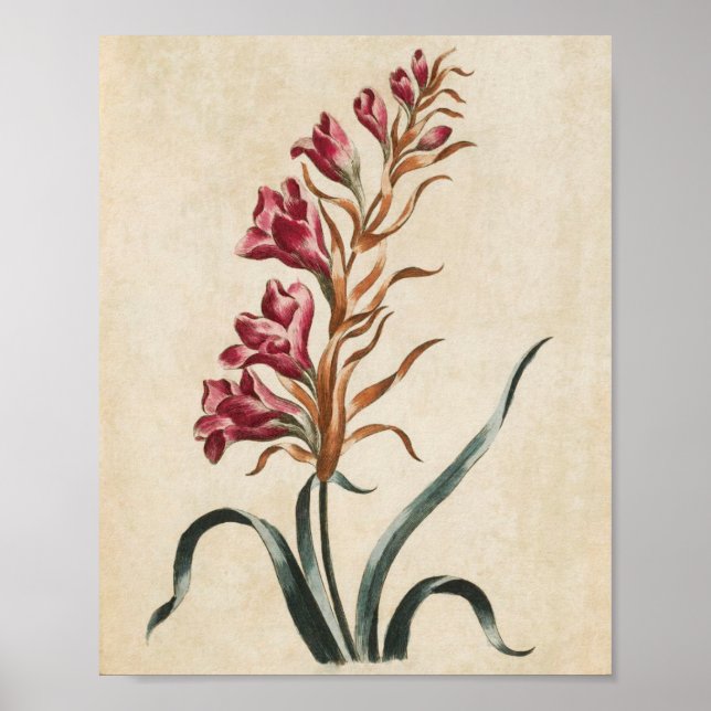 Vintager Botanischer Blumenhandschuh Poster (Vorne)
