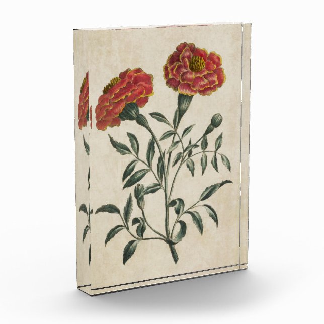 Vintager Botanischer Blumenstrauß Fotoblock (Links)