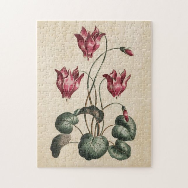 Vintager botanischer Blumenzymclamen (Vertikal)