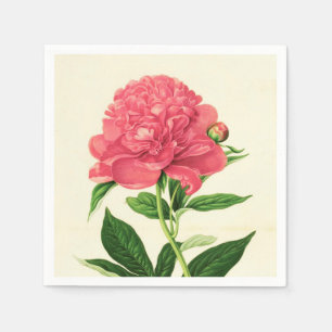 Vintager botanischer Druck, korallenrote rosa Serviette