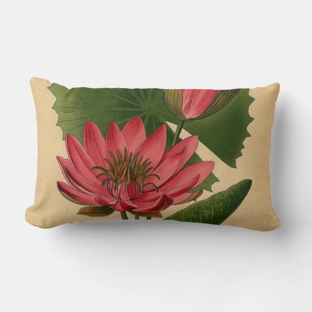 Vintager botanischer Druck Rosa Wasserlilie Lotus Lendenkissen (Vorderseite)