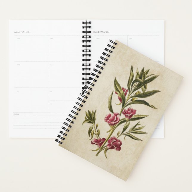 Vintager botanischer Floral Balsam Planer (Anzeige)