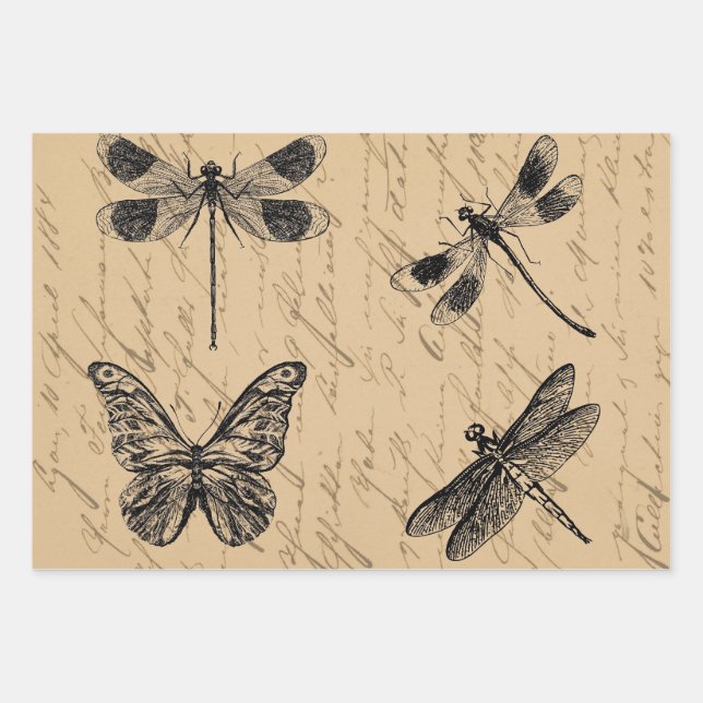 Vintager Botanischer Grunge-Schmetterling-Dragonfl Geschenkpapier Set (Vorderseite)