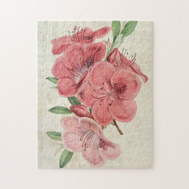 Vintager botanischer Magnet Azalea (Vertikal)