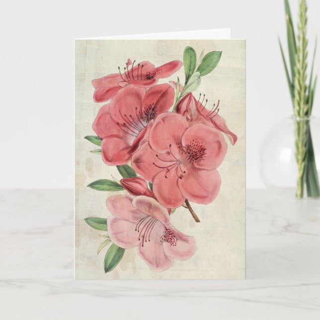 Vintager botanischer Magnet Azalea Karte (Vorderseite)