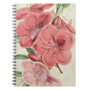Vintager botanischer Magnet Azalea Notizblock