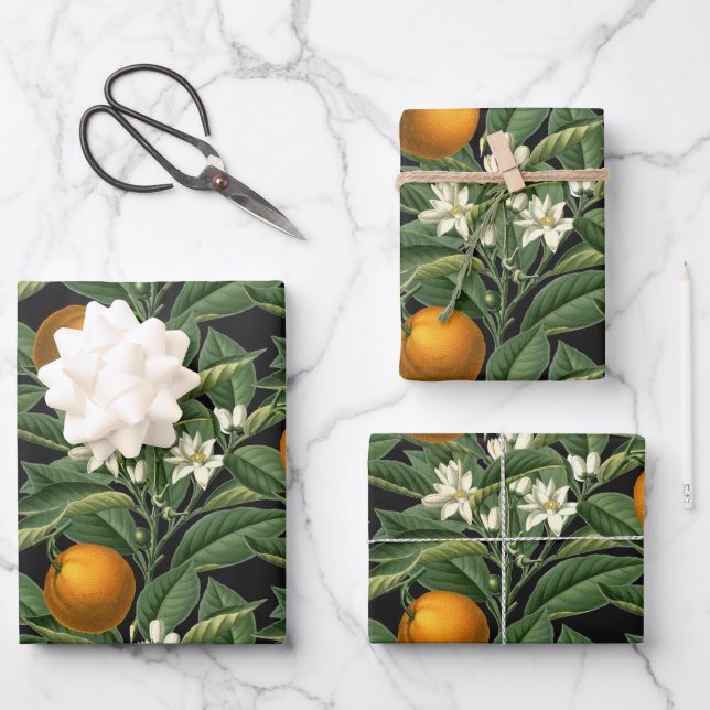 Vintager botanischer Orangenfruchtbarsch Schwarz Geschenkpapier Set (Vorderseite)