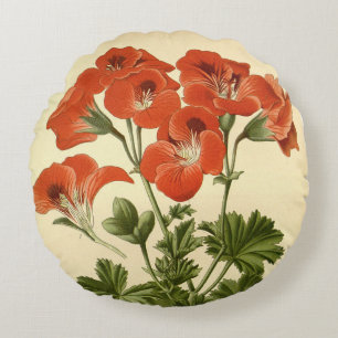 Vintager botanischer Pelargonium Grandiflorum Illu Rundes Kissen