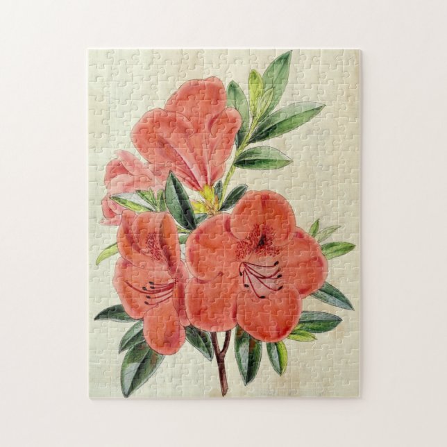 Vintager botanischer Präsident Azalea (Vertikal)