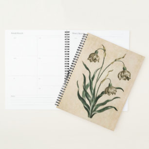 Vintager botanischer Schneefall Planer