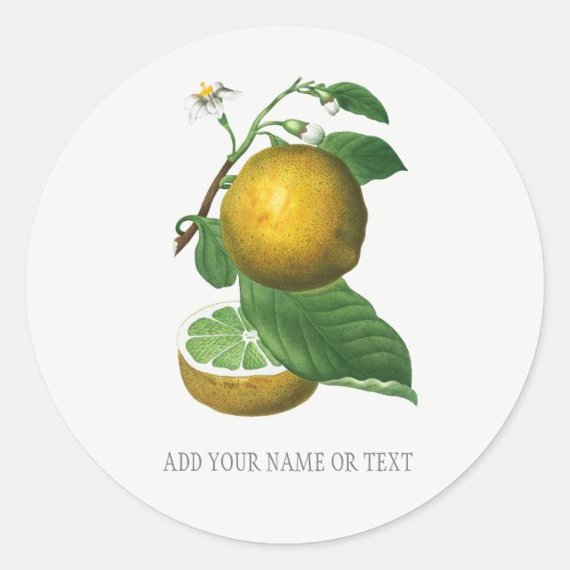 VINTAGER BOTANISCHER UMSCHLAG AUFKLEBER MIT CITRUS (Vorderseite)
