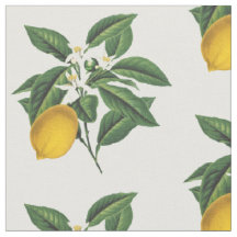 Vintager Botanischer Zitronenfruchtblossom