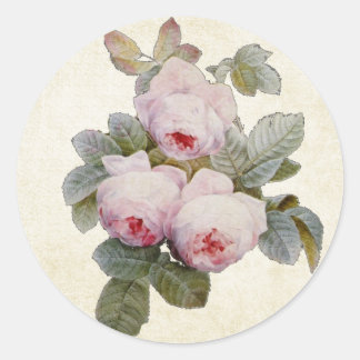 Vintager Bourbon-Rose-Umschlag Aufkleber