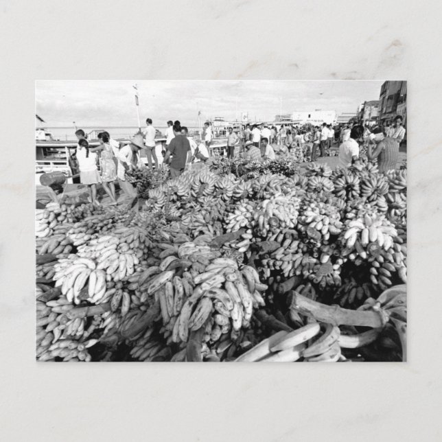 Vintager brasilianischer Manaus-Fluss-Markt Postkarte (Vorderseite)