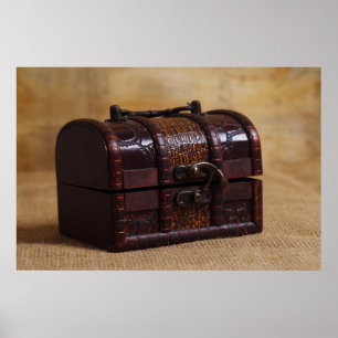 Vintager Brustkasten Poster