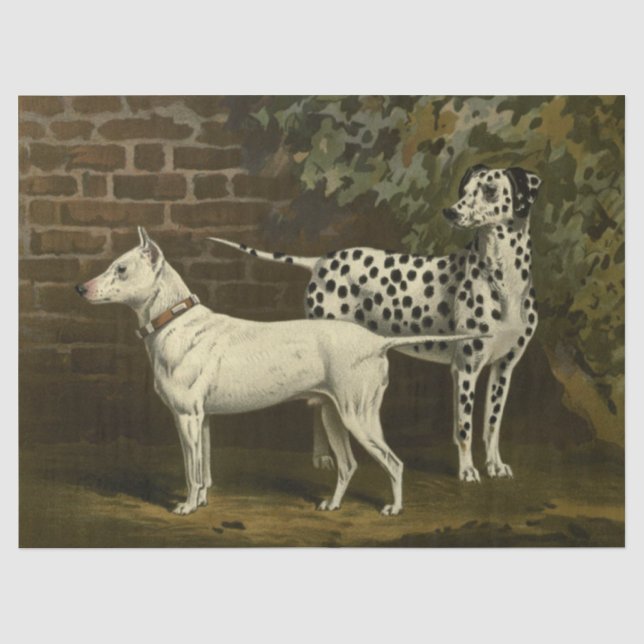 Vintager Bull Terrier und Dalmatiner Seidenpapier (Vorderseite)