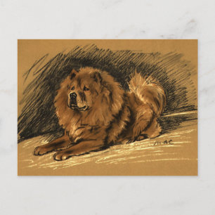 Vintager Chow-Hund Postkarte