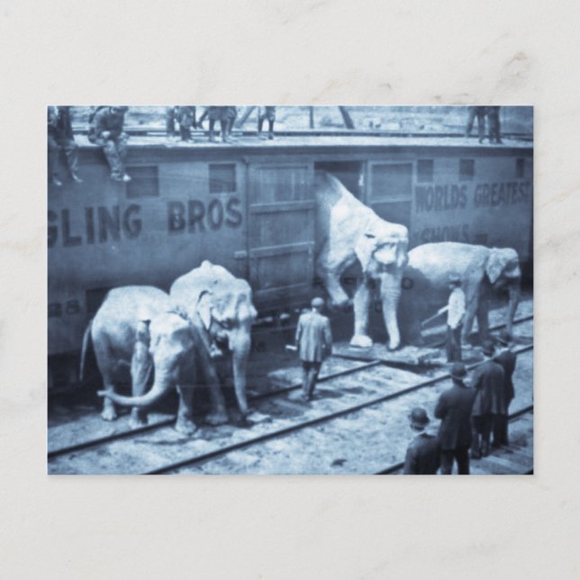 Vintager Circus Elefanten Ringling Bahnwagen Postkarte (Vorderseite)