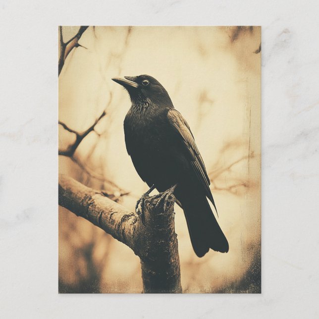 Vintager Crow-Stil Postkarte (Vorderseite)