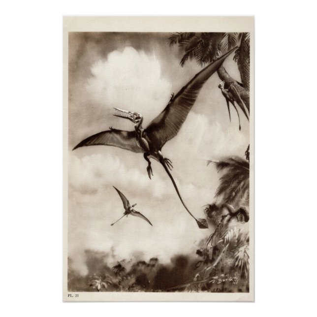 Vintager Dinosaurier-Druck #3 Poster (Vorderseite)
