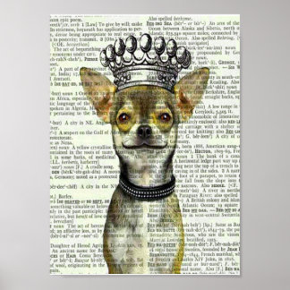 VINTAGER DOG ART DRUCKER, POSTER, CHIHUAHUA W CROW POSTER