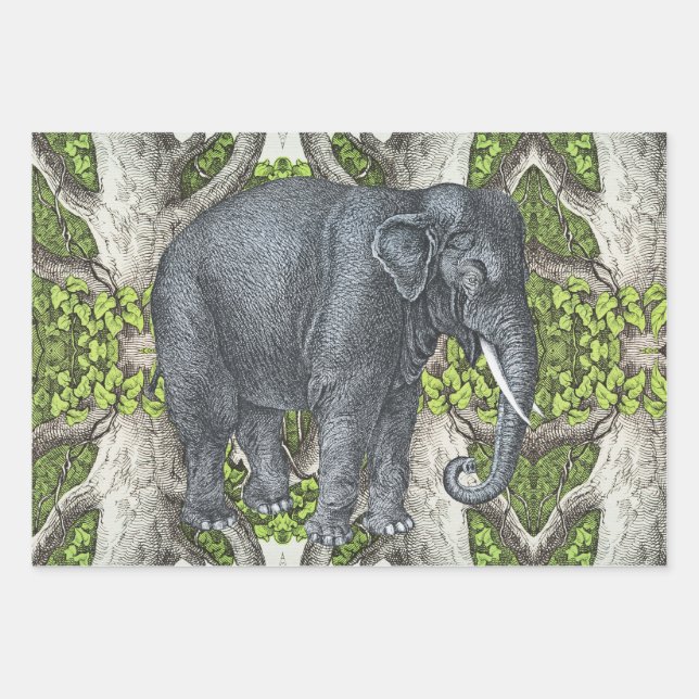 Vintager Elefant Geschenkpapier Set (Vorderseite)