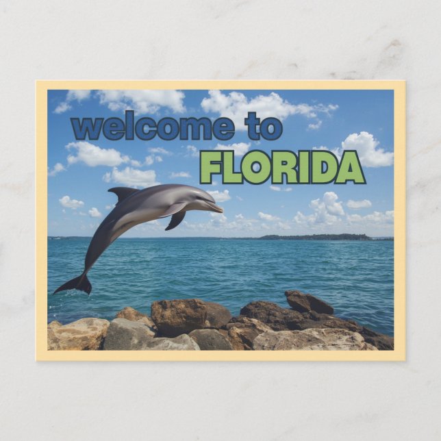 Vintager Empfang in Florida Dolphin Postkarte (Vorderseite)