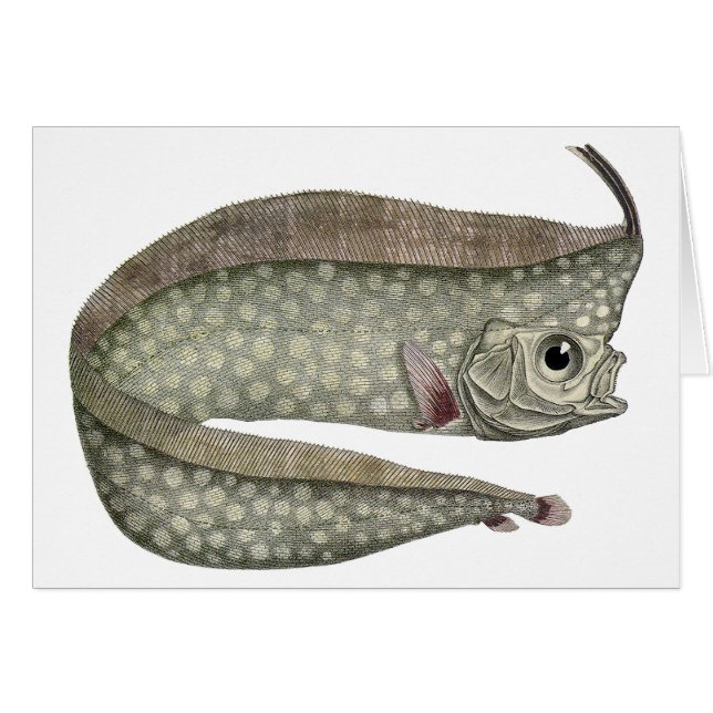 Vintager, entkörnter Orangenfisch, Meeresaquatisch (Vorderseite (Horizontal))