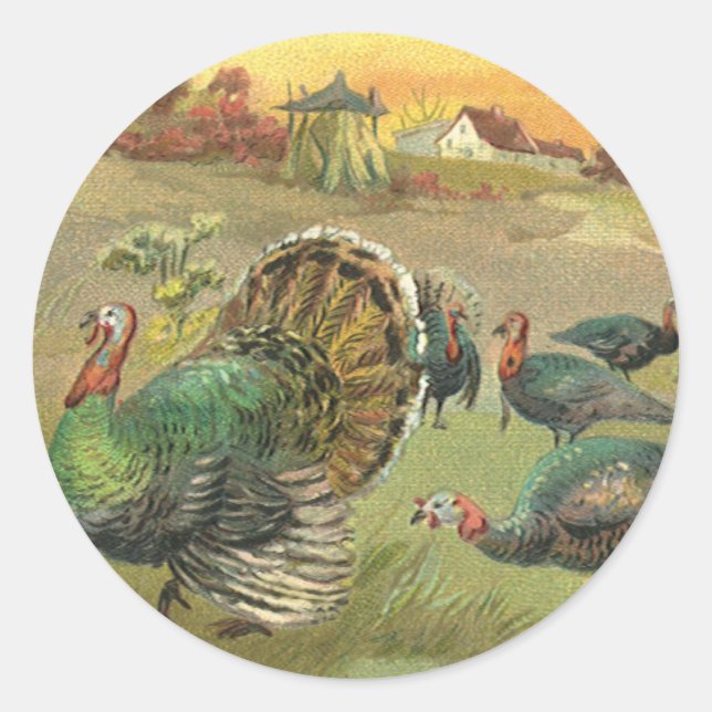 Vintager Erntedank mit Truthühnern und Pilgern Runder Aufkleber (Vorderseite)