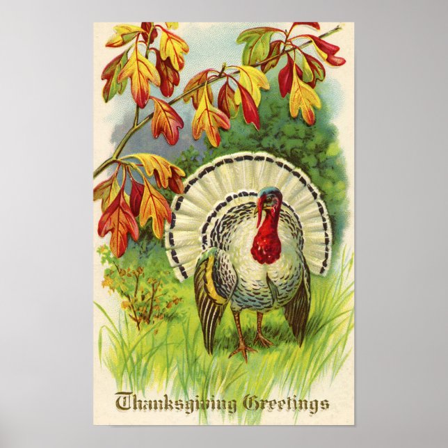 Vintager Erntedank Türkei Poster (Vorne)