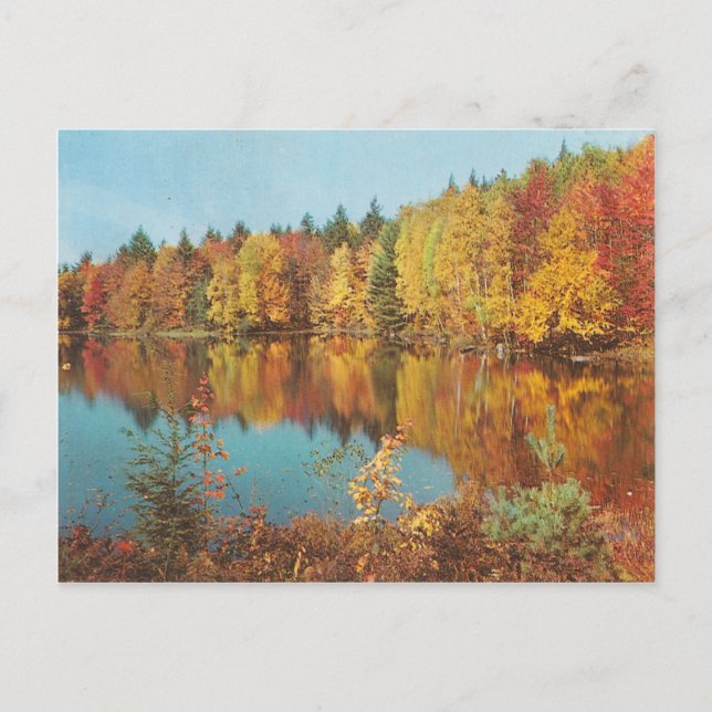 Vintager Fall Postkarte (Vorderseite)