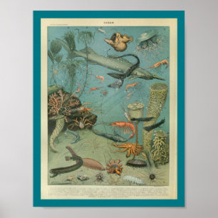 Vintager FarbMeereswelt-Meerblick-Druck Poster