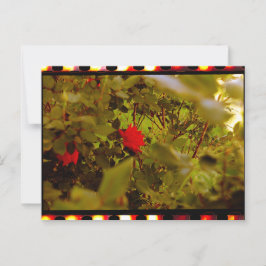 Vintager Film Versteckte Rose Postkarte