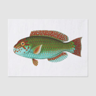 Vintager Fisch Seidenpapier